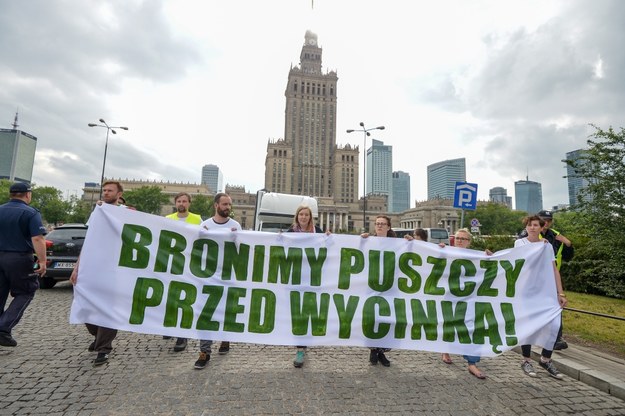 Protest w obronie Puszczy Białowieskiej w Warszawie /Marcin Obara /PAP