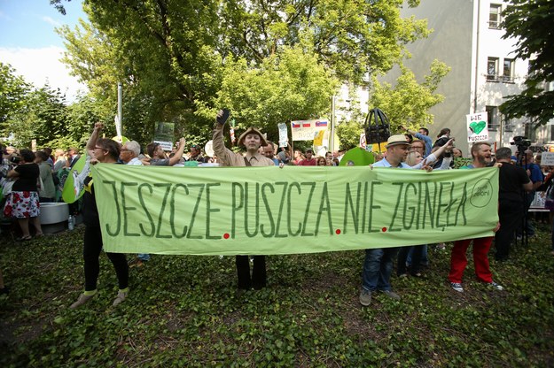 Protest w obronie Puszczy Białowieskiej /Stanisław Rozpędzik /PAP