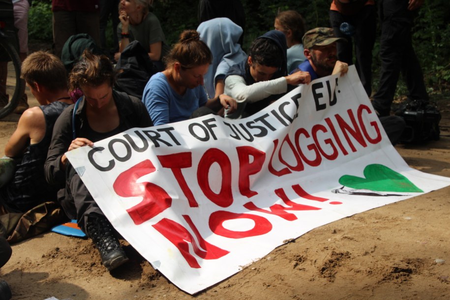 Protest w obronie Puszczy Białowieskiej /Piotr Bułakowski /RMF FM