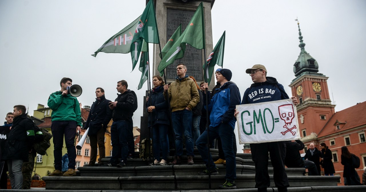 Protesty przeciw CETA w Warszawie. "Polacy przeciw globalizacji"