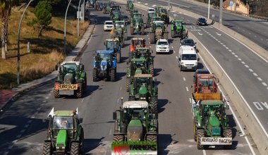 Protesty rolników sparaliżują Polskę? Mamy komentarz wiceministra rolnictwa