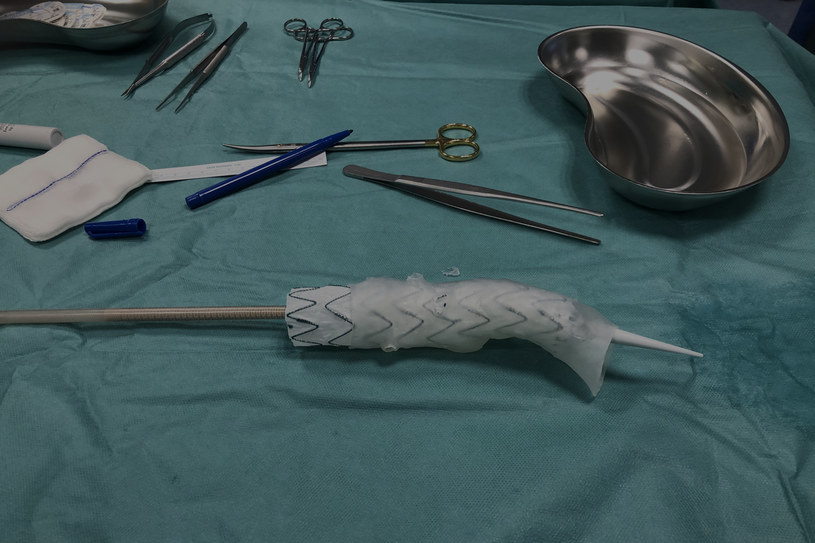 Proteza uzyskana w technologii druku 3D /materiały prasowe