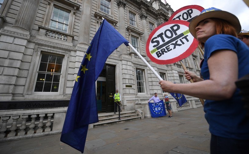 Prounijna demonstracja przed Cabinet Office - odpowiednikiem kancelarii rządu - w Londynie, 06.08.2019 /ANDY RAIN /PAP
