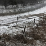 Prowokacje białoruskich służb. Granaty hukowe rzucane wzdłuż granicy