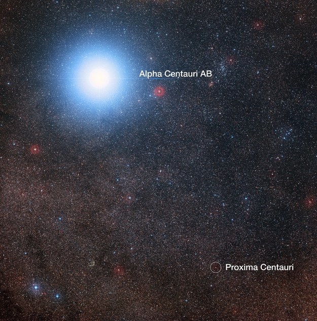 Proxima Centauri widoczna w pobliżu dużo jaśniejszej Alpha Centauri AB /Digitized Sky Survey 2; Davide De Martin/Mahdi Zamani /Materiały prasowe