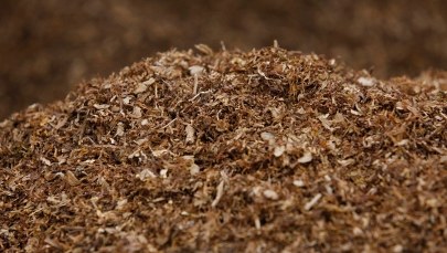 Prywatny detektyw Paweł K. z zarzutami. Pracował m.in. dla koncernu tytoniowego