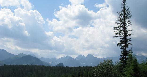 Prywatyzacją zainteresowana jest słowacka firma Tatry Mountain Resorts /INTERIA.PL