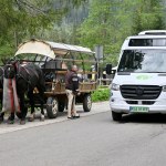 Przebadali konie znad Morskiego Oka. Na większości trasy miało ich już nie być