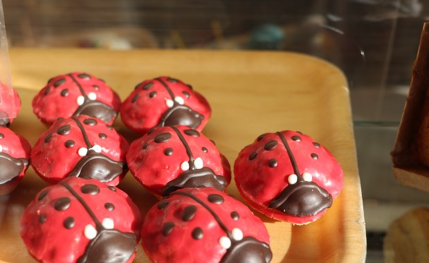 „Przebojowa Firma na Słodko” w RMF FM. Odwiedziliśmy krakowską cukiernię