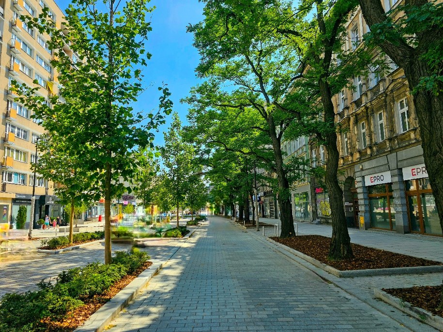 Przebudowa alei Wojska Polskiego ruszyła we wrześniu 2021 r. /Urząd Miasta Szczecin /