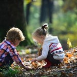 Przebywanie w lesie zmienia układ odpornościowy dziecka. Na lepsze