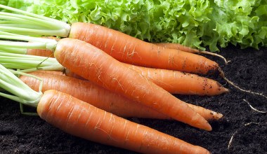 Przechowujesz marchewkę w ten sposób? Nic dziwnego, że szybko się psuje 