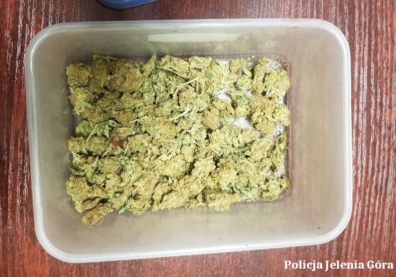 Przechwycone narkotyki /Dolnośląska Policja /Policja