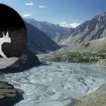 Przecierali oczy ze zdumienia. Miał wyginąć, a pojawił się w kamerze