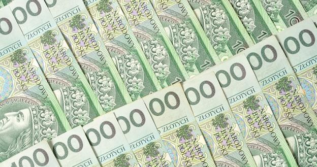 Przeciętne wynagrodzenie brutto w styczniu br. wyniosło 3 tys. 666,41 złotych - poinformował GUS /&copy; Panthermedia