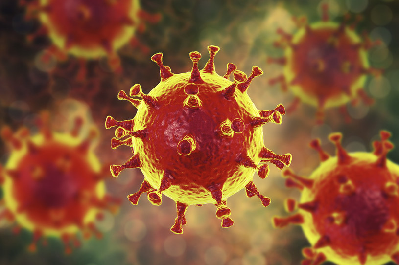 Przed infekcją SARS-CoV-2 nasz organizm może bronić się sam? /123RF/PICSEL