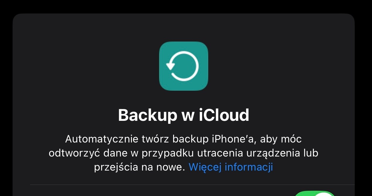 Przed instalacją iOS 18 warto zrobić backup. /Dawid Długosz /INTERIA.PL