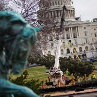 Przed Kapitolem stanęła już choinka 