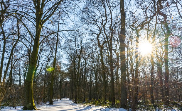 Przed nami chłodne dni i mroźne noce
