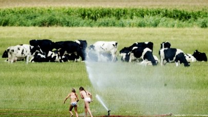 ​Przed nami ciepły, ale i burzowy tydzień
