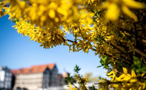 Przed nami ostatnie chwile ciepła. Nadchodzi ochłodzenie
