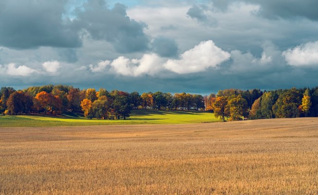 Przed nami ostatnie dni lata. Synoptycy zapowiadają nadejście jesieni