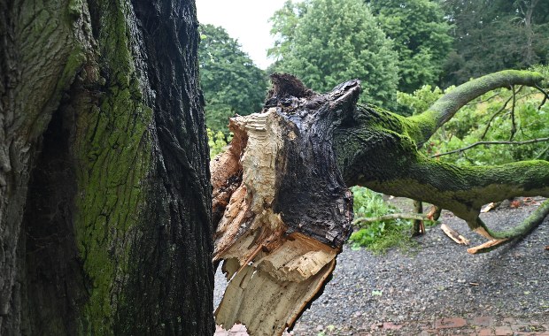 Przed nami weekend z bardzo silnym wiatrem. Możliwe alerty trzeciego stopnia