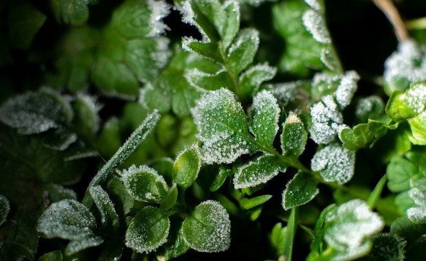 Przed nami zimna noc. Możliwe przymrozki!