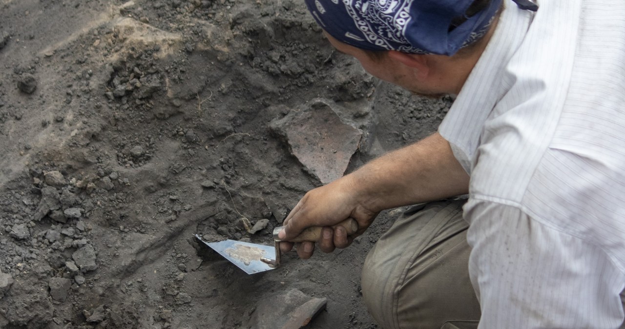 Przed planowanymi inwestycjami archeolodzy przeprowadzają badania określonego terenu. W wielu przypadkach prowadzi to do ciekawych odkryć. Zdj. ilustracyjne. /Arkhipova Marina, CC BY 4.0 DEED /Wikimedia