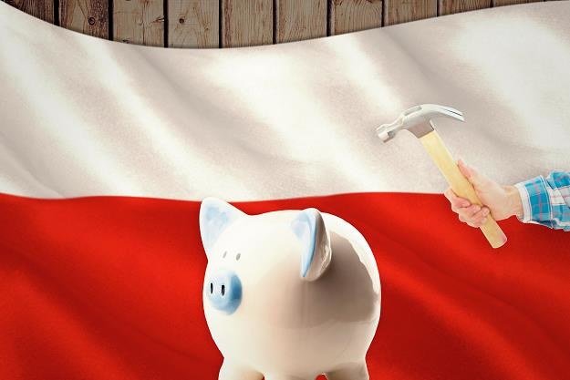 Przed Polska gospodarką ważne wyzwania /&copy;123RF/PICSEL