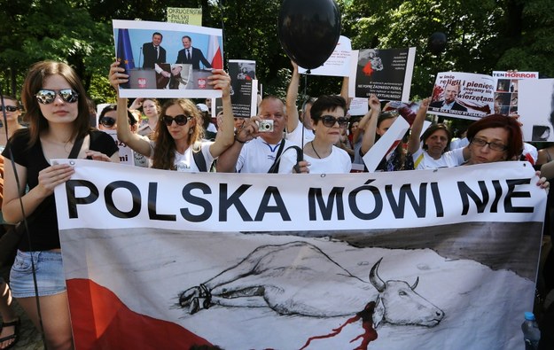 Przed sejmem protestowali przeciwnicy uboju rytualnego /Paweł Supernak /PAP