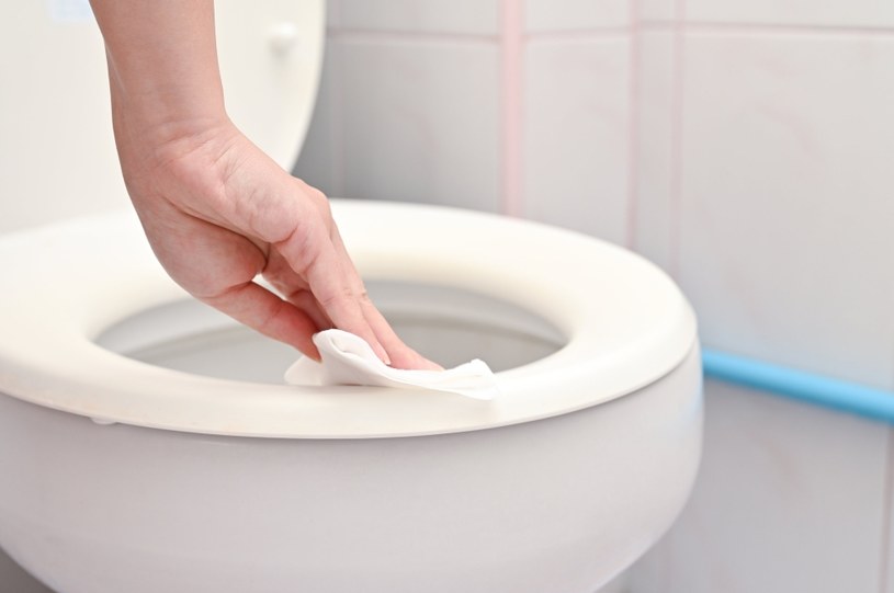 Przed skorzystaniem z toalety publicznej, można przetrzeć muszlę wilgotnymi chusteczkami /123RF/PICSEL