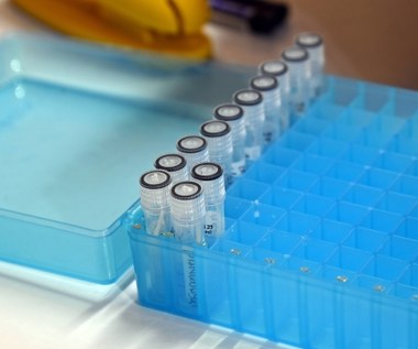 Przed świętami lekarze radzą zrobić test na koronawirusa 