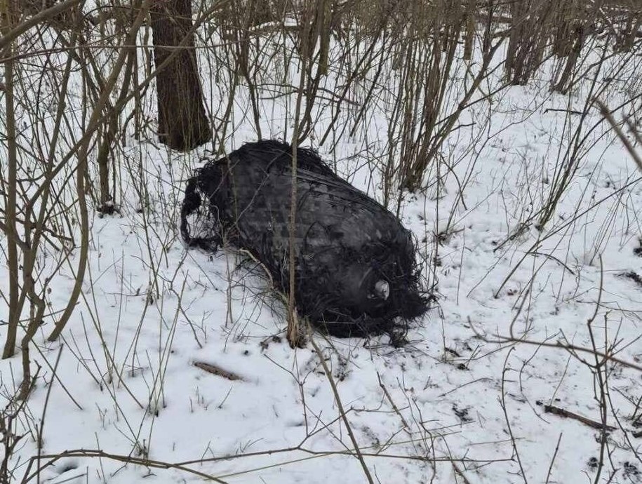 Položka nalezená v lese ve městě Sędziny ve větším Polsku /KW PSP Poznaň /