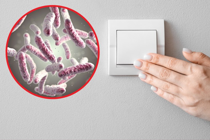 Przedmioty codziennego użytku w domu są siedliskiem groźnych bakterii, które wywołują dolegliwości ze strony układu pokarmowego /123RF/PICSEL