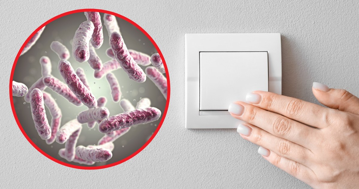 Przedmioty codziennego użytku w domu są siedliskiem groźnych bakterii, które wywołują dolegliwości ze strony układu pokarmowego /123RF/PICSEL