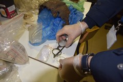 Przedmioty znalezione przez archeologów na terenie obozu Burgweide