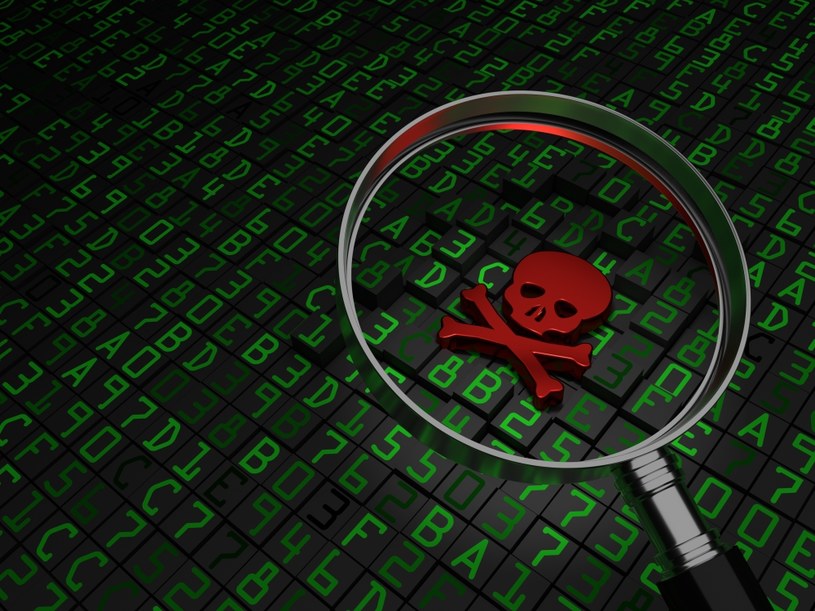 Przedsiębiorstwa najbardziej obawiają się zagrożeń ze strony szeroko rozumianej cyberprzestępczości /123RF/PICSEL