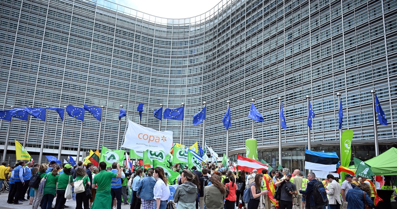 Przedstawiciele rolników demonstrują niezadowolenie przed Parlamentem Europejskim /DURSUN AYDEMIRANADOLUAnadolu /AFP