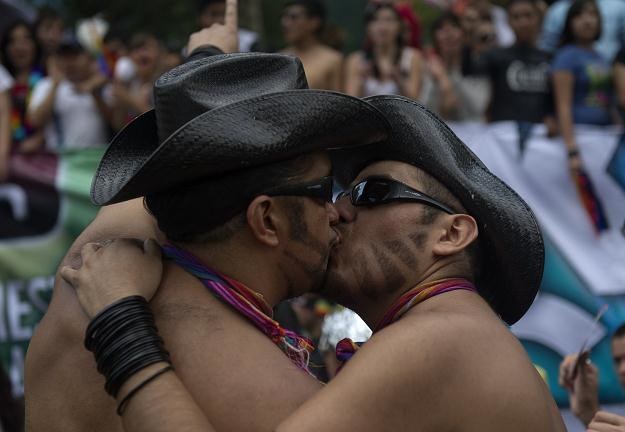 Przedstawiciele ruchu homoseksualistów nie kryją swojego zachwytu /AFP