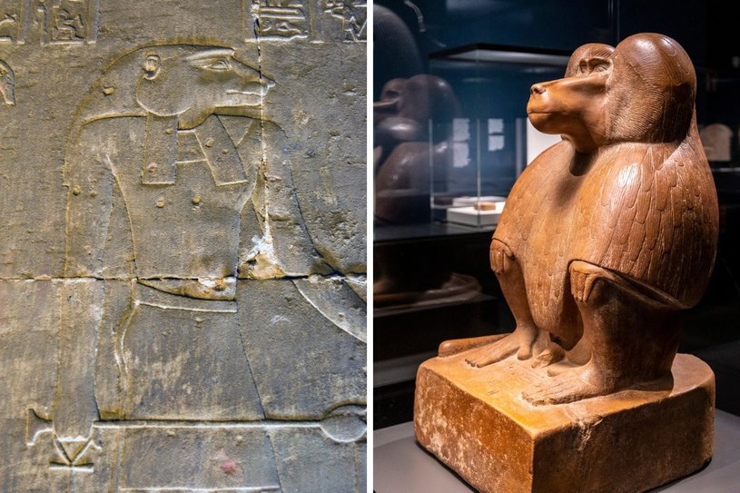 Przedstawienie boga z głową pawiana i figurka pawiana z czasów Amenhotepa III /123RF/PICSEL