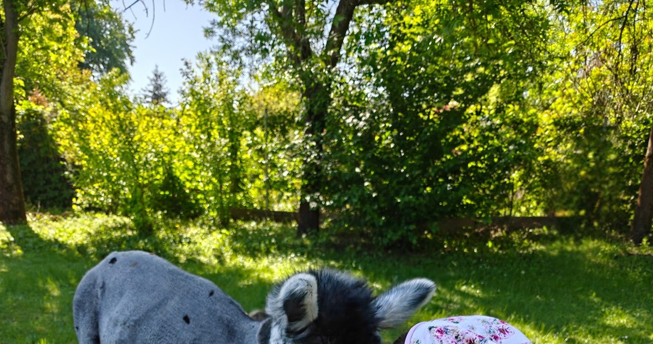 Przedszkole terapeutyczne PROMITIS /materiały promocyjne