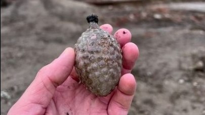 Przedwojenna bombka znaleziona na remontowanym placu Defilad