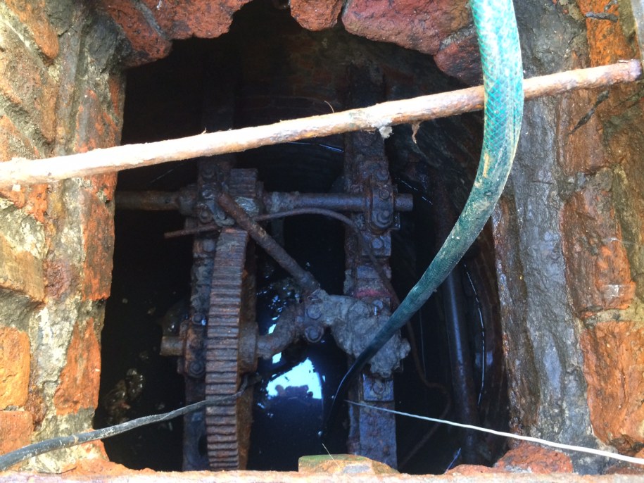 Przedwojenna studnia, gdzie struga ma swoje źródło /Agnieszka Wyderka /RMF FM