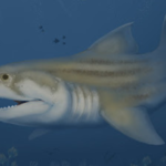 Przedziwne rekiny odkryte w jaskini w USA. Miały zęby jak nóż z widelcem