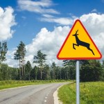 Przegapił znak A-18b i rozbił auto. Ubezpieczyciel odmówił wypłaty