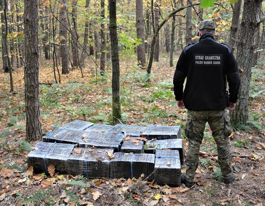 Przejęte paczki papierosów /Straż Graniczna /Straż Graniczna