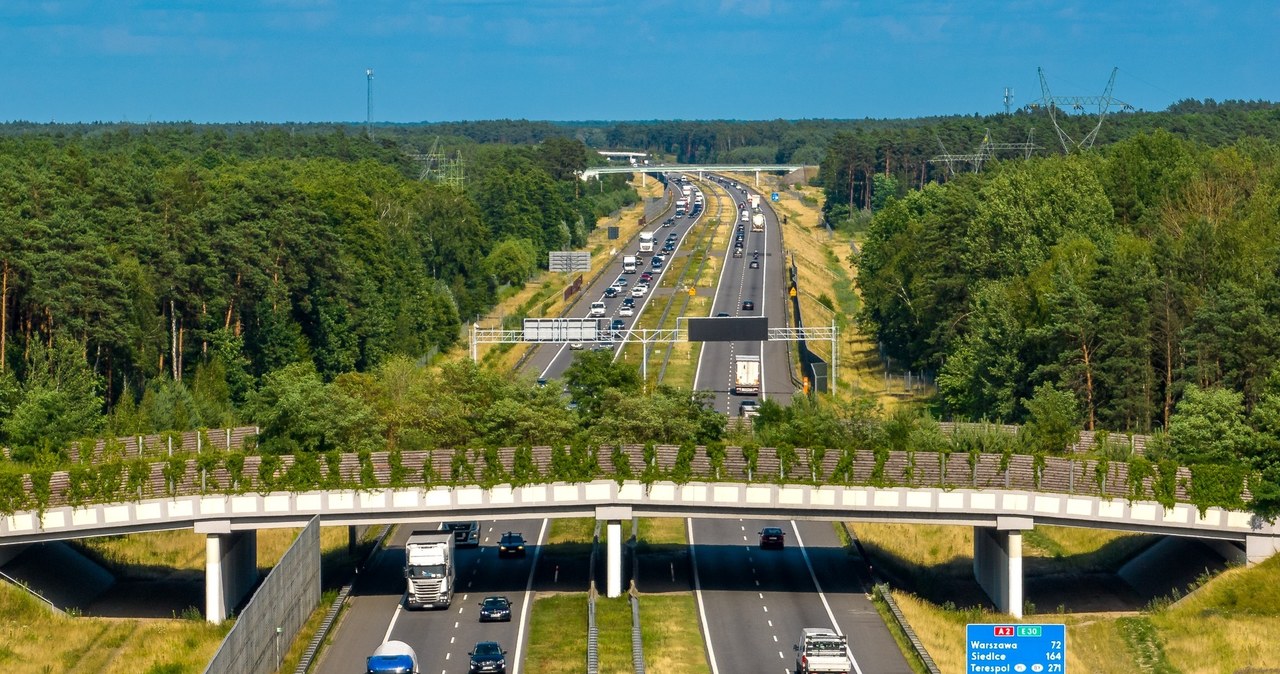 Przejścia dla zwierząt nad drogami szybkiego ruchu są odpowiednio osłonięte /GDDKiA