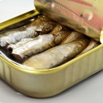 sardynki Przekąska z puszki może wspierać mózg. Mała ryba, sporo cennych składników