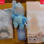 Przekręt z maskotkami na granicy. Podróbki Labubu w rękach służb